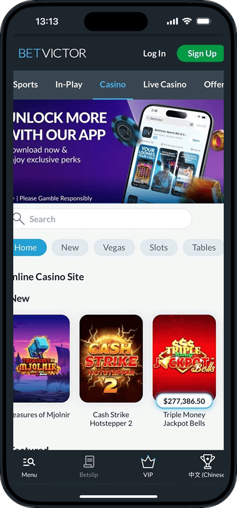 Betviktor casino with games, slots and bets
